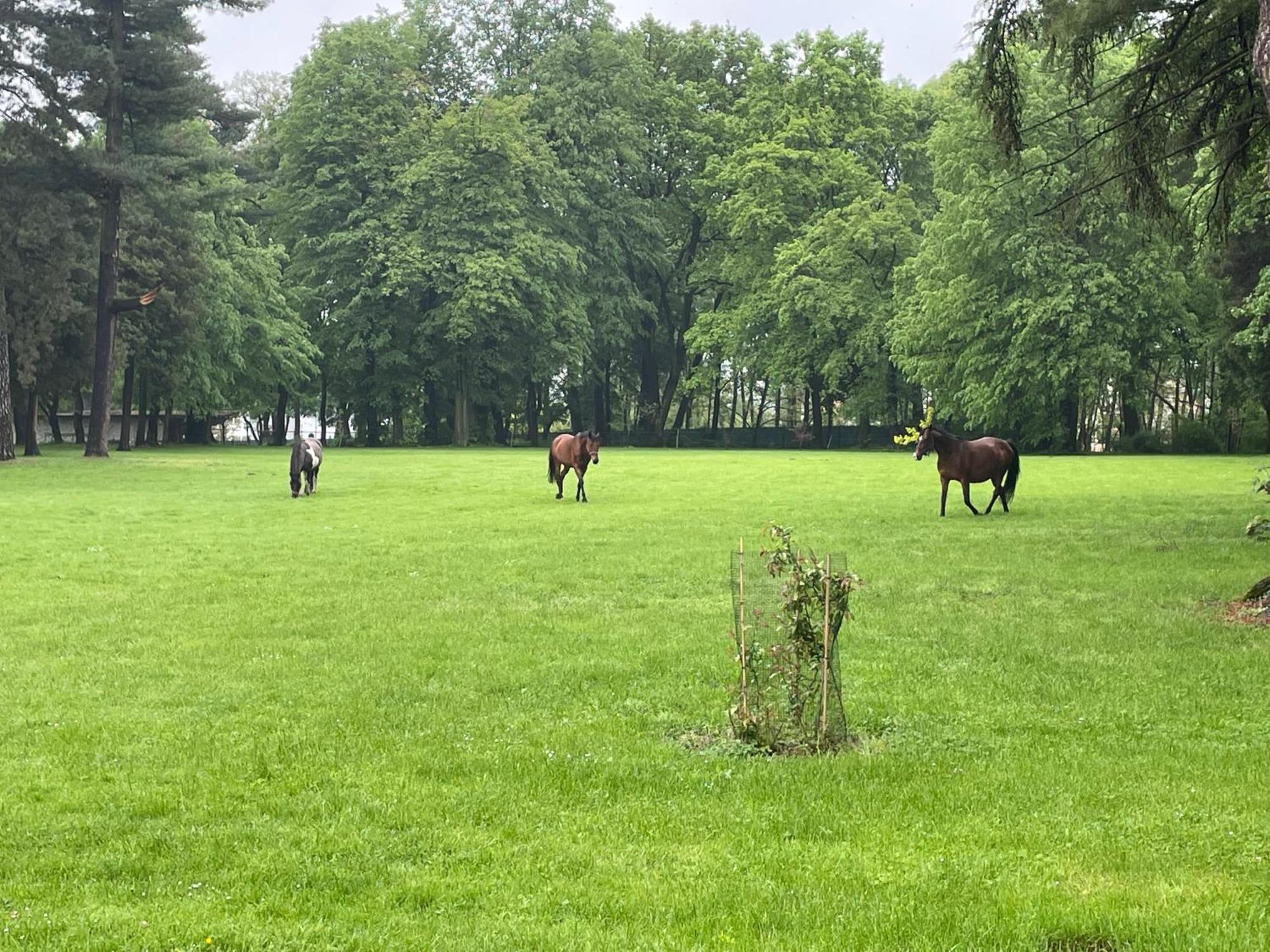 Palac Zbylitowskich Zbylitowska Gora Exteriör bild
